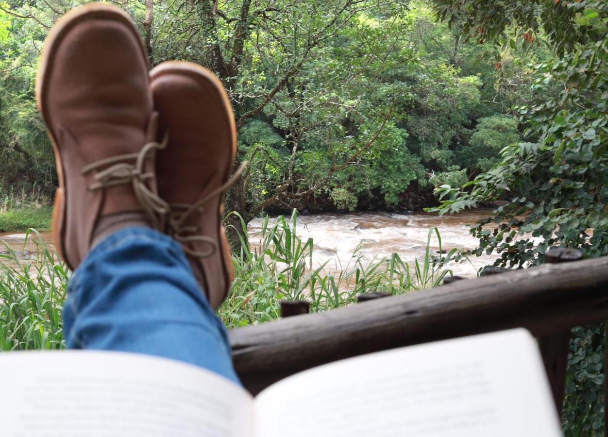 Lions Rock Rapids - Luxury Tented Camp 雾观 外观 照片