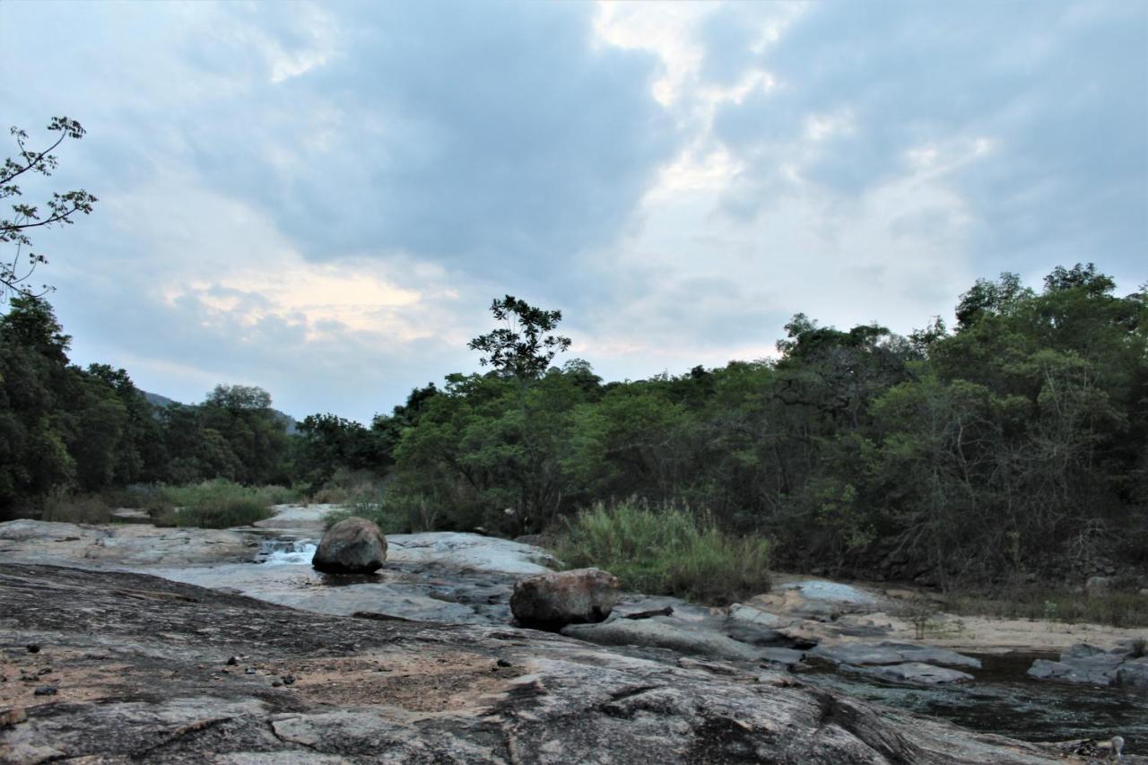 Lions Rock Rapids - Luxury Tented Camp 雾观 外观 照片