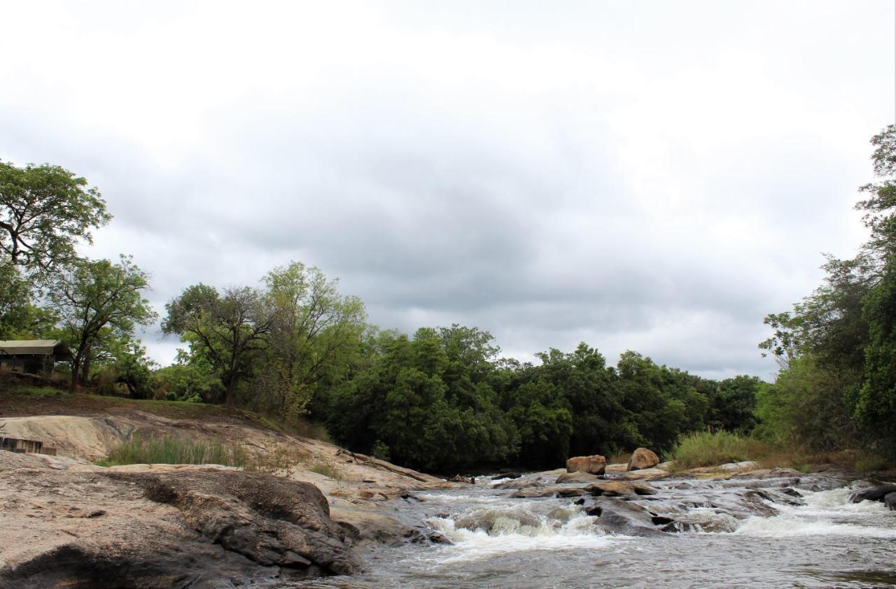 Lions Rock Rapids - Luxury Tented Camp 雾观 外观 照片