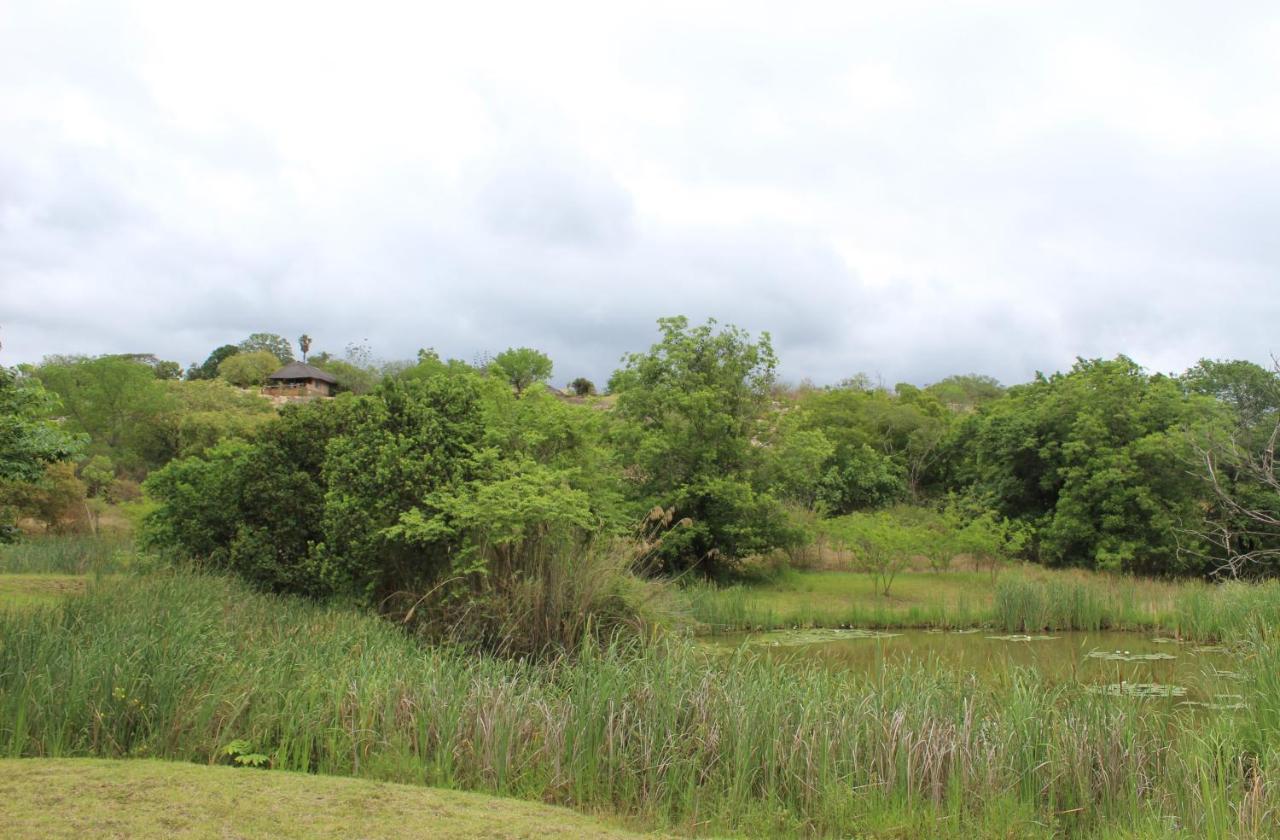 Lions Rock Rapids - Luxury Tented Camp 雾观 外观 照片