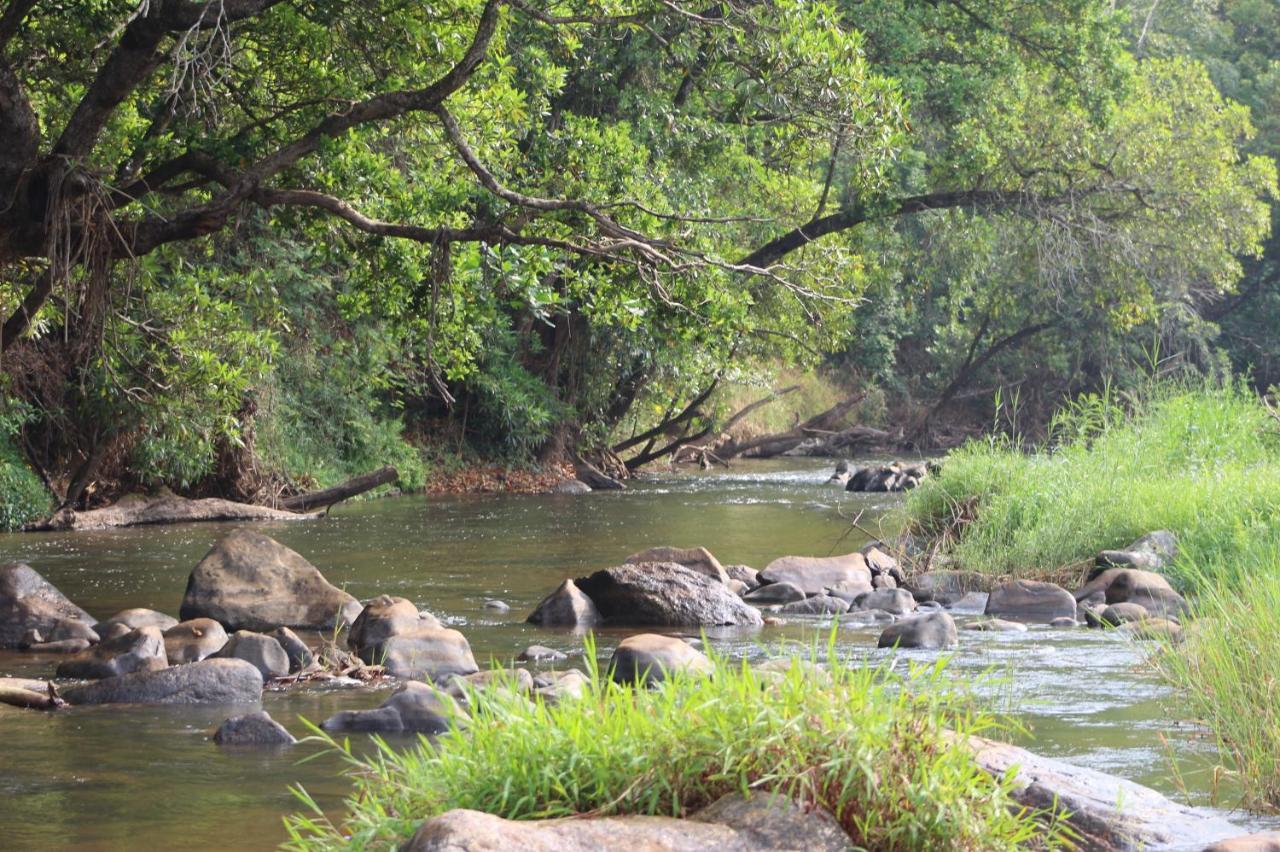 Lions Rock Rapids - Luxury Tented Camp 雾观 外观 照片