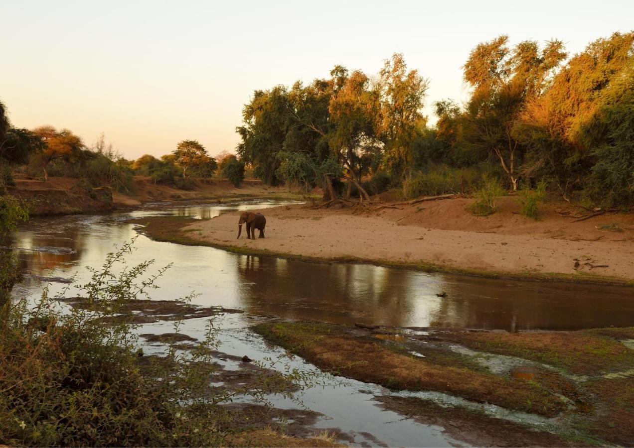 Lions Rock Rapids - Luxury Tented Camp 雾观 外观 照片