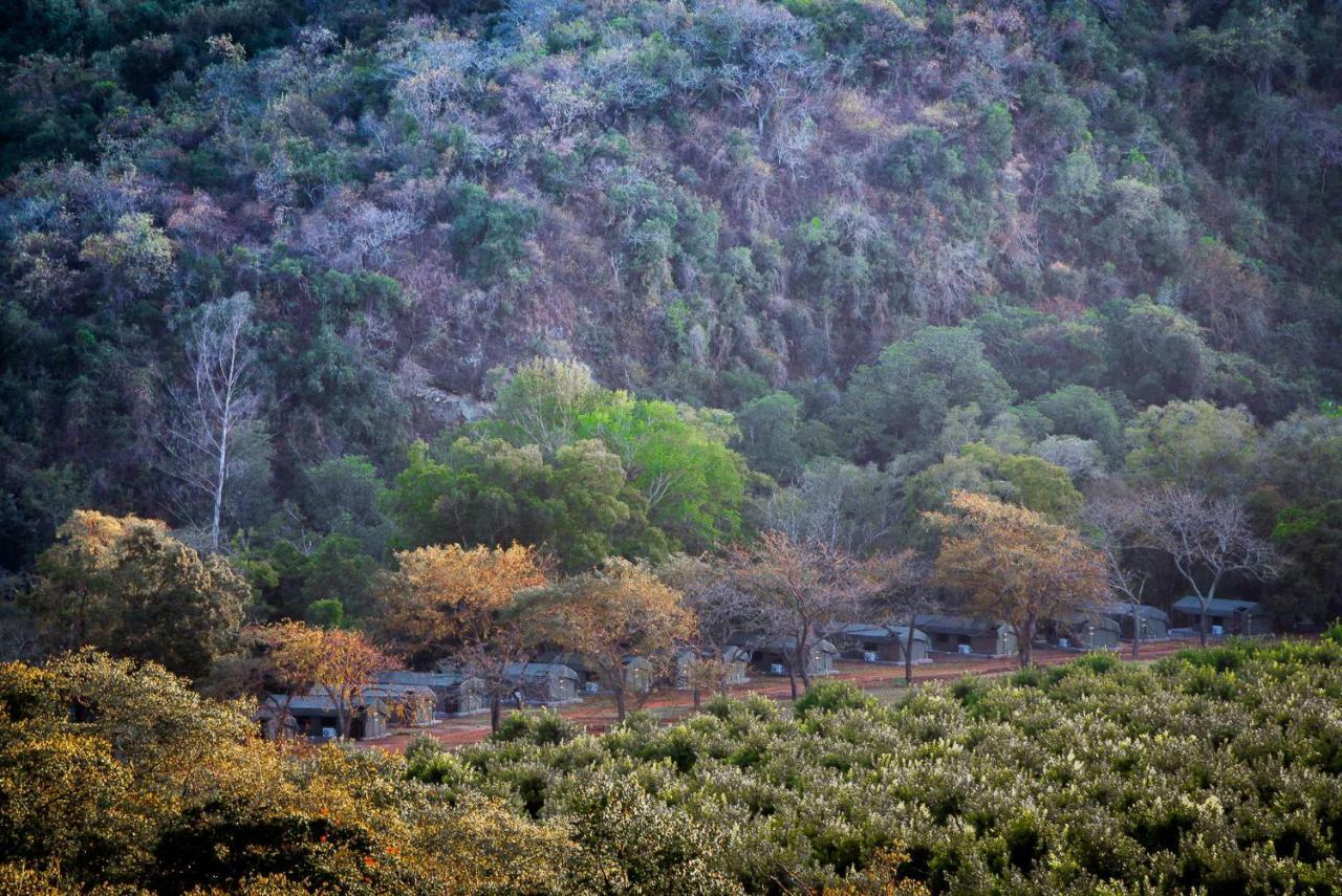 Lions Rock Rapids - Luxury Tented Camp 雾观 外观 照片